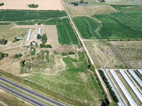Vendo Campo 24 Has en Ruta 14 Concepción del Uruguay Entre Ríos
