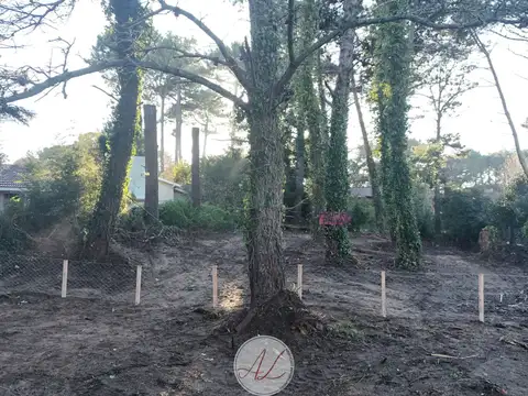 Terreno en Venta de 727,0 m2