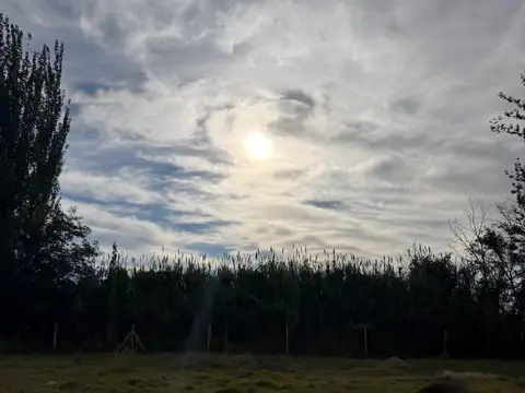 Terreno en Venta en Colonia Delfino, USD 12.000