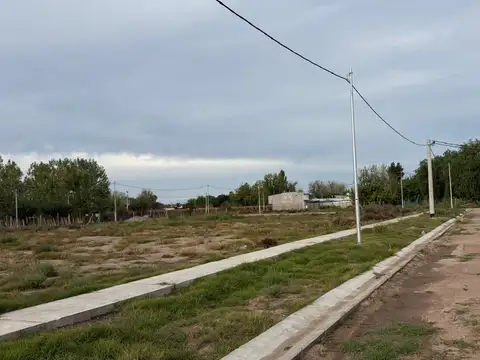 Terreno en Venta de 250,0 m2