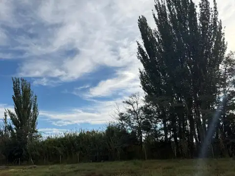 La colonia Junin Sobre Delfin Albarez