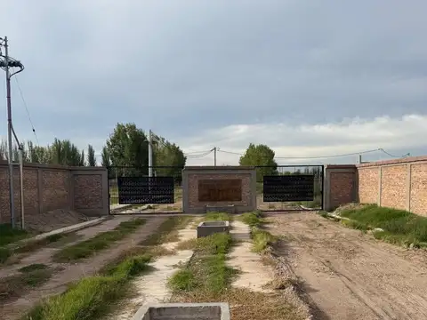 La colonia Junin Sobre Delfin Albarez