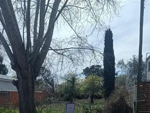 Lote en Santa Teresita - 324m2 - Calle 44 entre 8 y 9 - Orientación Sur
