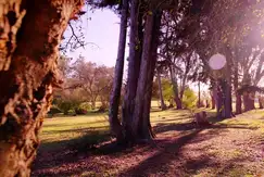Haras Santa Maria Escobar - Foto 12