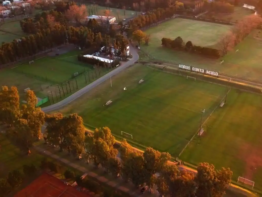 Haras Santa Maria Escobar - Foto 13