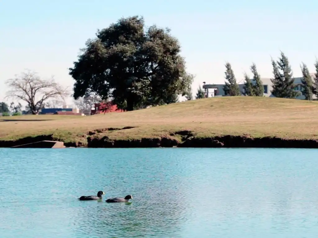 Haras Santa Maria Escobar - Foto 16