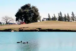 Haras Santa Maria Escobar - Foto 16