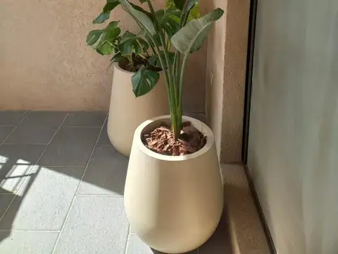 Departamento en Alquiler Temporal 2 años