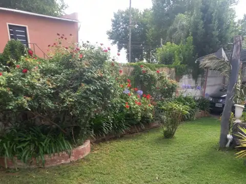 Galeno 800