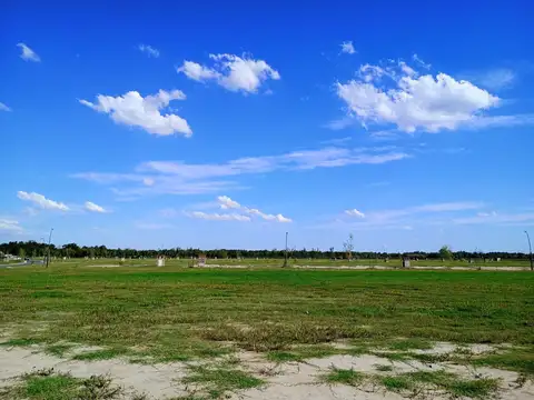 Puertos Barrio Nativas