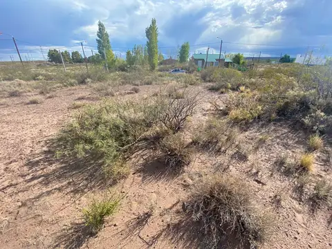 Cooperativa de Colonización y Vivienda El Chocon Ltda
