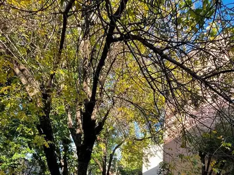Departamento