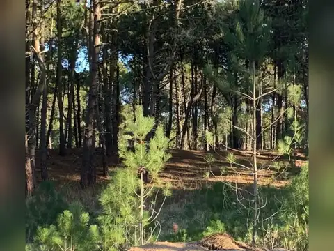 Terreno en venta - 1.098mts2 - Pinamar