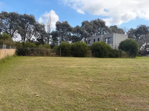 Terreno en Venta 40  mts Fondo