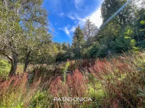 Terreno en Venta 60  mts Fondo