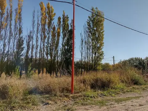 Terreno en Venta de 318,0 m2