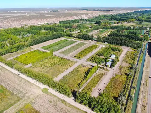 Fincas de Vista Alegre III, Ruta 100