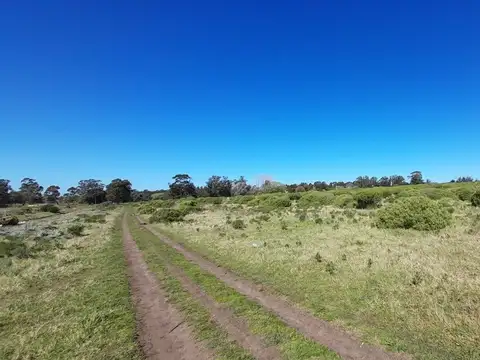 Terreno en Venta de 44913,0 m2