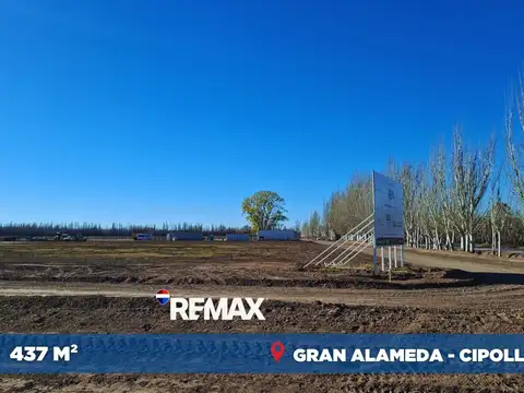VENTA LOTE GRAN ALAMEDA CIPOLLETTI 437M2