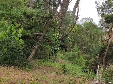 Terreno en Venta 32,07  mts Frente