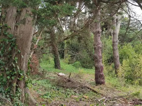 Terreno en Venta 24,64  mts Fondo