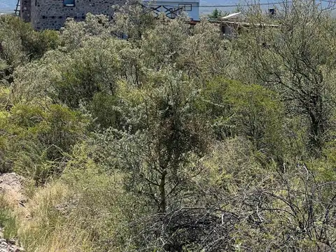 LOTE EN VENTA B. LA MAGDALENA OLIVAR