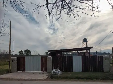 409