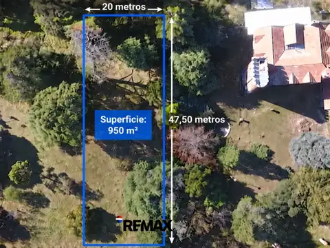 Martin Pescador entre Cruz del Sur y  Curamalal