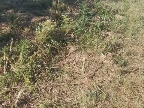 Terreno en Venta en El Cazador, USD 50.000