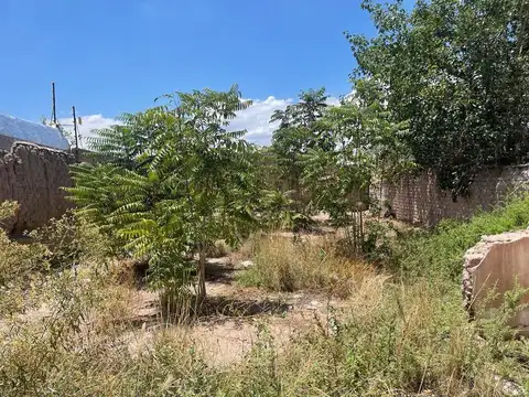 Terreno en Venta en Dorrego, USD 38.000