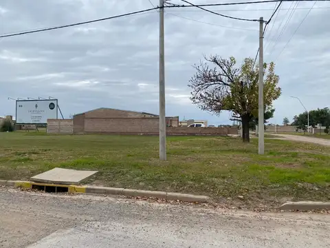 Avenida Rivadavia al 4000