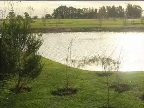 Santa Clara al Sur 1500