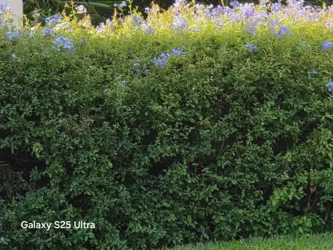 Terreno en Venta en Villa Pueyrredon, Capital Federal