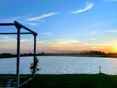 Lote Campos de Roca II 