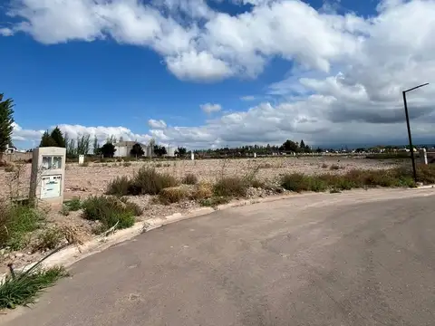 Avenida Malabia