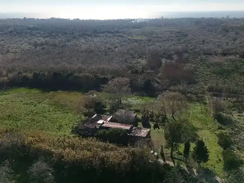 VENTA CAMPO DE 6,14 HAS EN LOS TALAS -BERISSO