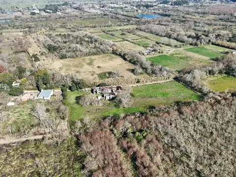 VENTA CAMPO DE 6,14 HAS EN LOS TALAS -BERISSO