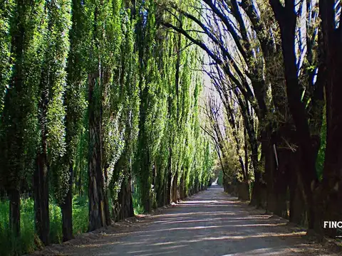 Terreno en Venta de 2500,0 m2