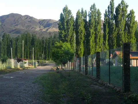 Ruta 52