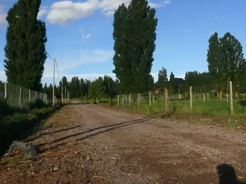 Venta en Ruta 52 Pleno Valle de Uspallata, 2500 m2 Luz, perforación, riego en el lote precio con escritura en mano