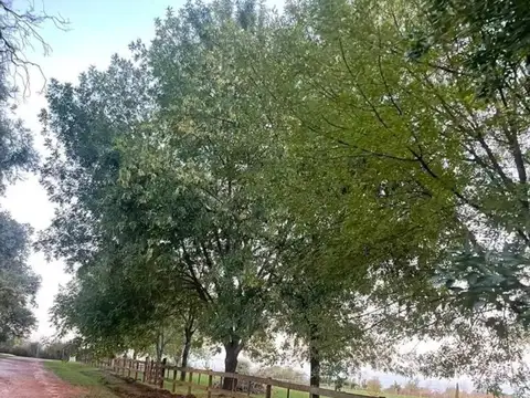 Terreno en Venta de 5092,0 m2