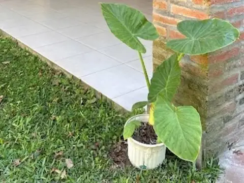 Casa en Venta 43 años