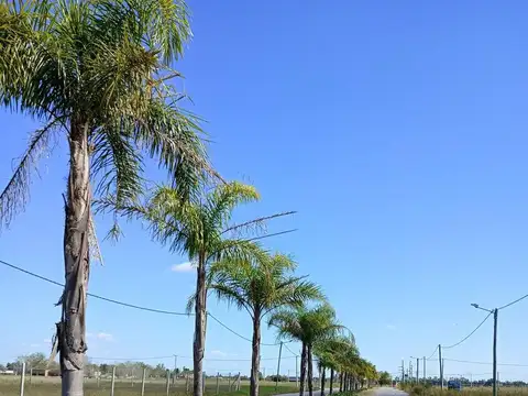 Terreno en Venta de 2007,0 m2