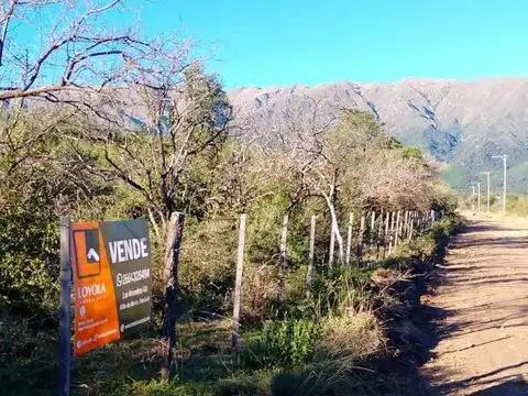 Una Hectárea en Carpintería 