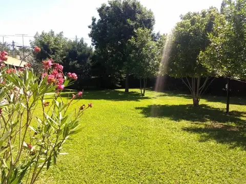 TERRENO FISHERTON! - GÈNOVA ENTRE SARRATEA Y WILDE