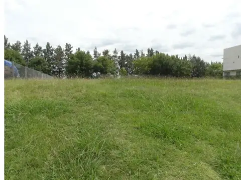 Terreno en Venta de 1100,0 m2