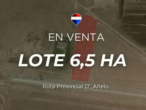 VENTA LOTE 6.5 HA AÑELO