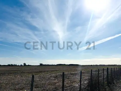 Campo agrícola | 34 hectáreas productivas. Melincué