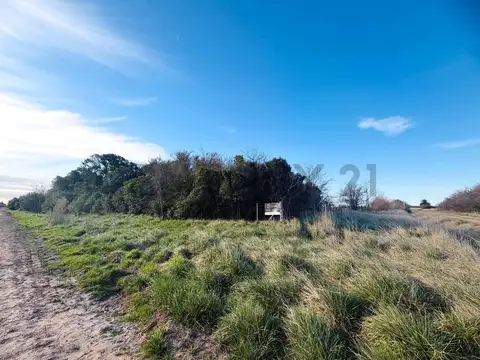 Campo agrícola | 34 hectáreas productivas. Melincué