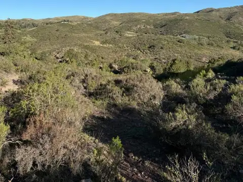 Casa en Venta de 1 dormitorio